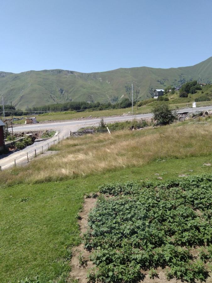 Family Hotel Mtamta 구다우리 외부 사진